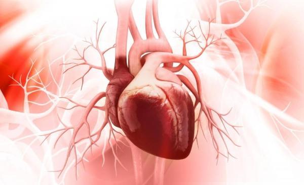 Kalıcı Kalp Pilleri Hangi Hastalıkların Tedavisinde Kullanılır?
